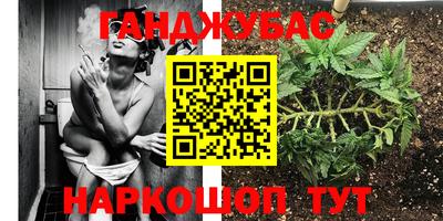 шишки Северобайкальск