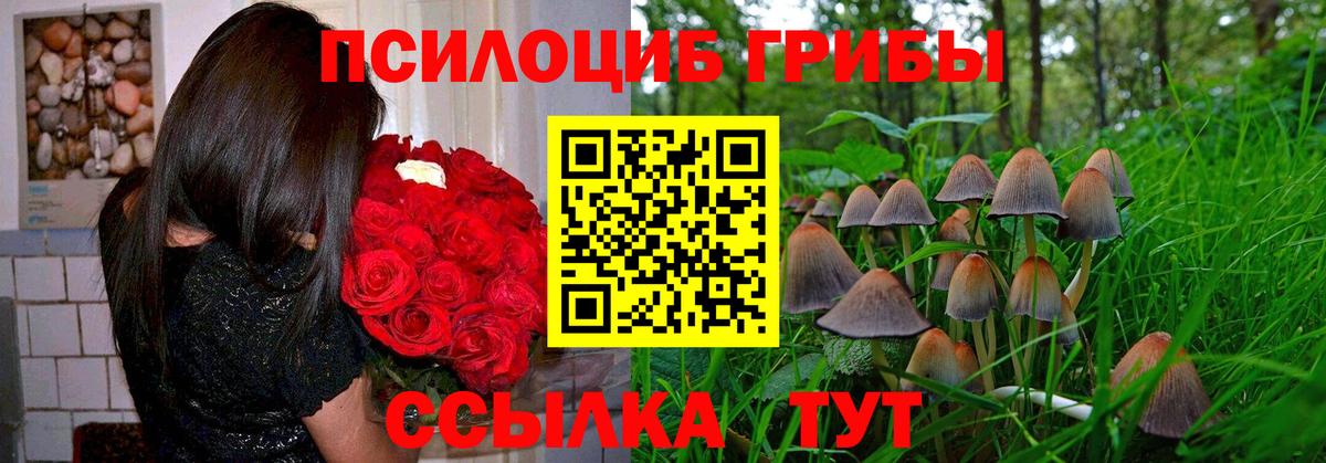 Галлюциногенные грибы мухоморы Тюмень