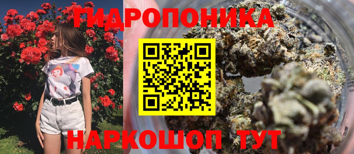 Конопля планчик  Бошки Шишки MAZAR  Марихуана марихуана  Вход с VPN  Тюмень 